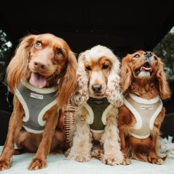 Cocopup Adjustable Harness Bundles-Khaki Quilted Adjustable Neck Harness, Lead & Collar Bundle
