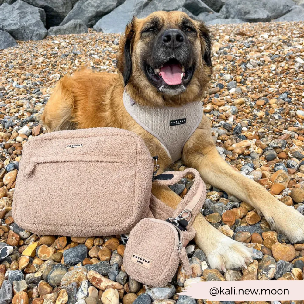 Cocopup Large Bag Bundles-Large Teddy Rupert Dog Walking Bag Bundle - Teddy Rupert