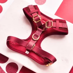 Cocopup Adjustable Harness Bundles-Limited Edition Burgundy Sparkle Pup Adjustable Neck Harness, Lead & Collar Bundle