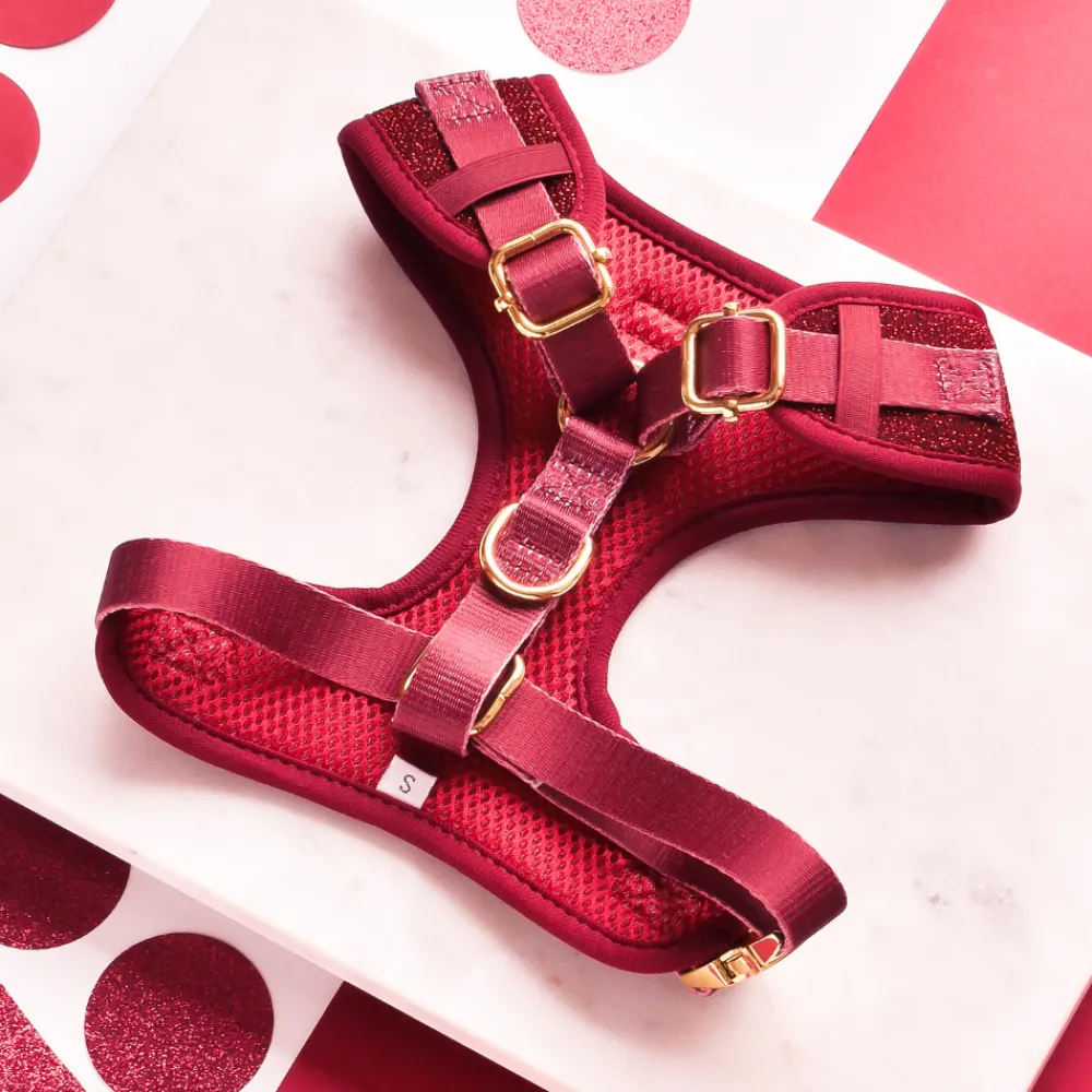 Cocopup Adjustable Harness Bundles-Limited Edition Burgundy Sparkle Pup Adjustable Neck Harness, Lead & Collar Bundle