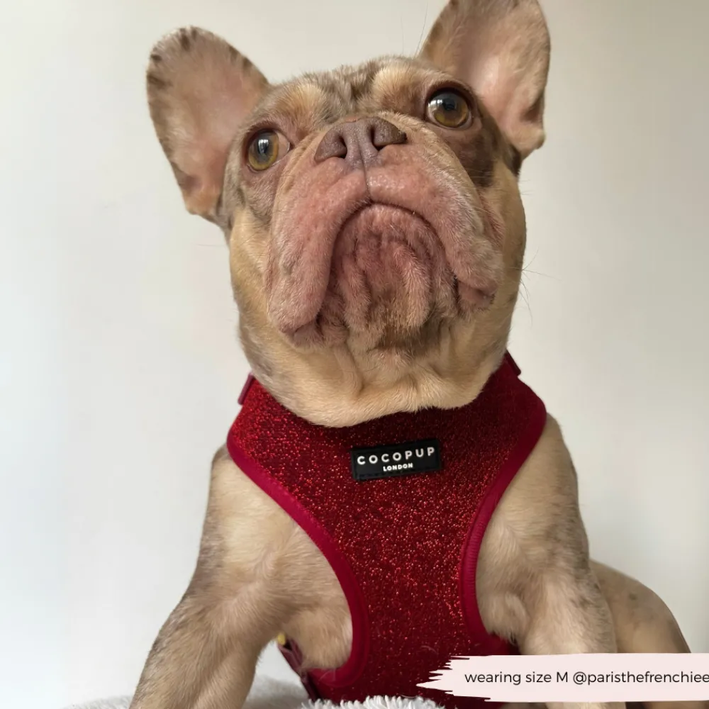 Cocopup Adjustable Harness Bundles-Limited Edition Burgundy Sparkle Pup Adjustable Neck Harness, Lead & Collar Bundle