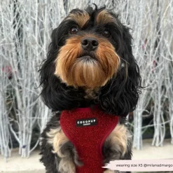 Cocopup Adjustable Harness Bundles-Limited Edition Burgundy Sparkle Pup Adjustable Neck Harness, Lead & Collar Bundle