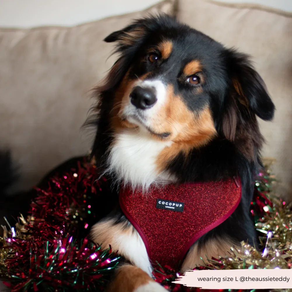 Cocopup Adjustable Harness Bundles-Limited Edition Burgundy Sparkle Pup Adjustable Neck Harness, Lead & Collar Bundle