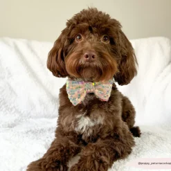 Cocopup Bow Ties-Limited Edition LUXE Party Rose Gold Sequin Bow Tie