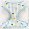 Cocopup Adjustable Neck Harnesses-Living La Vida Lemon Adjustable Neck HARNESS