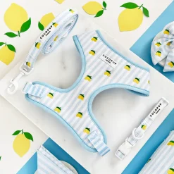 Cocopup Adjustable Harness Bundles-Living La Vida Lemon Adjustable Neck Harness, Lead & Collar Bundle