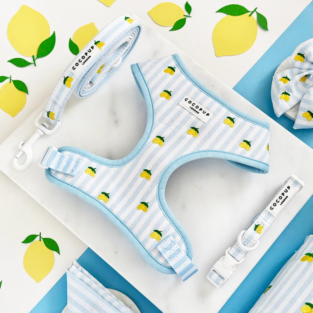 Cocopup Adjustable Harness Bundles-Living La Vida Lemon Adjustable Neck Harness, Lead & Collar Bundle
