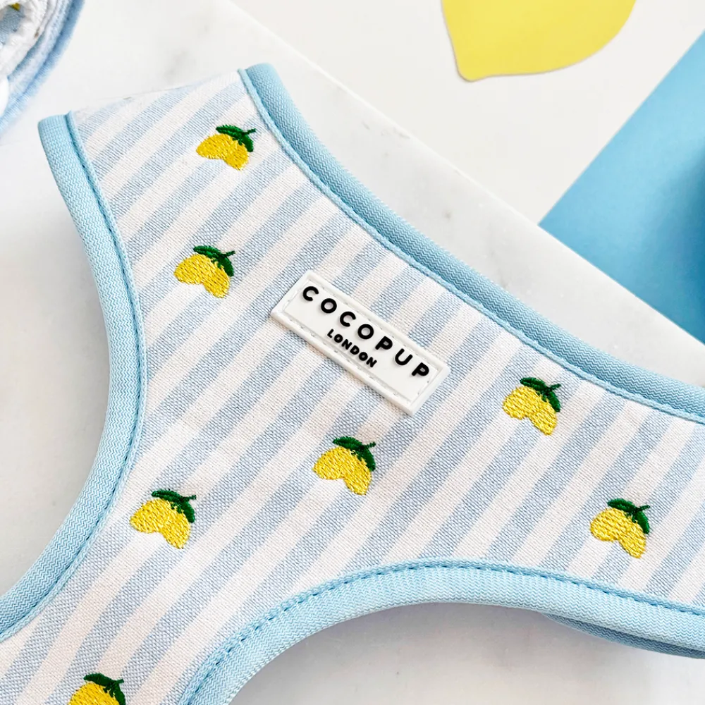 Cocopup Adjustable Neck Harnesses-Living La Vida Lemon Adjustable Neck HARNESS