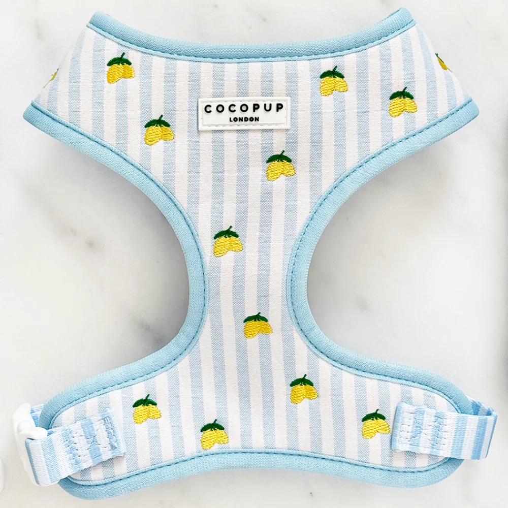 Cocopup Adjustable Harness Bundles-Living La Vida Lemon Adjustable Neck Harness, Lead & Collar Bundle