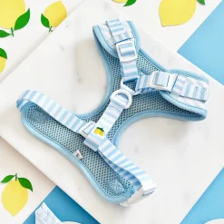 Cocopup Adjustable Neck Harnesses-Living La Vida Lemon Adjustable Neck HARNESS