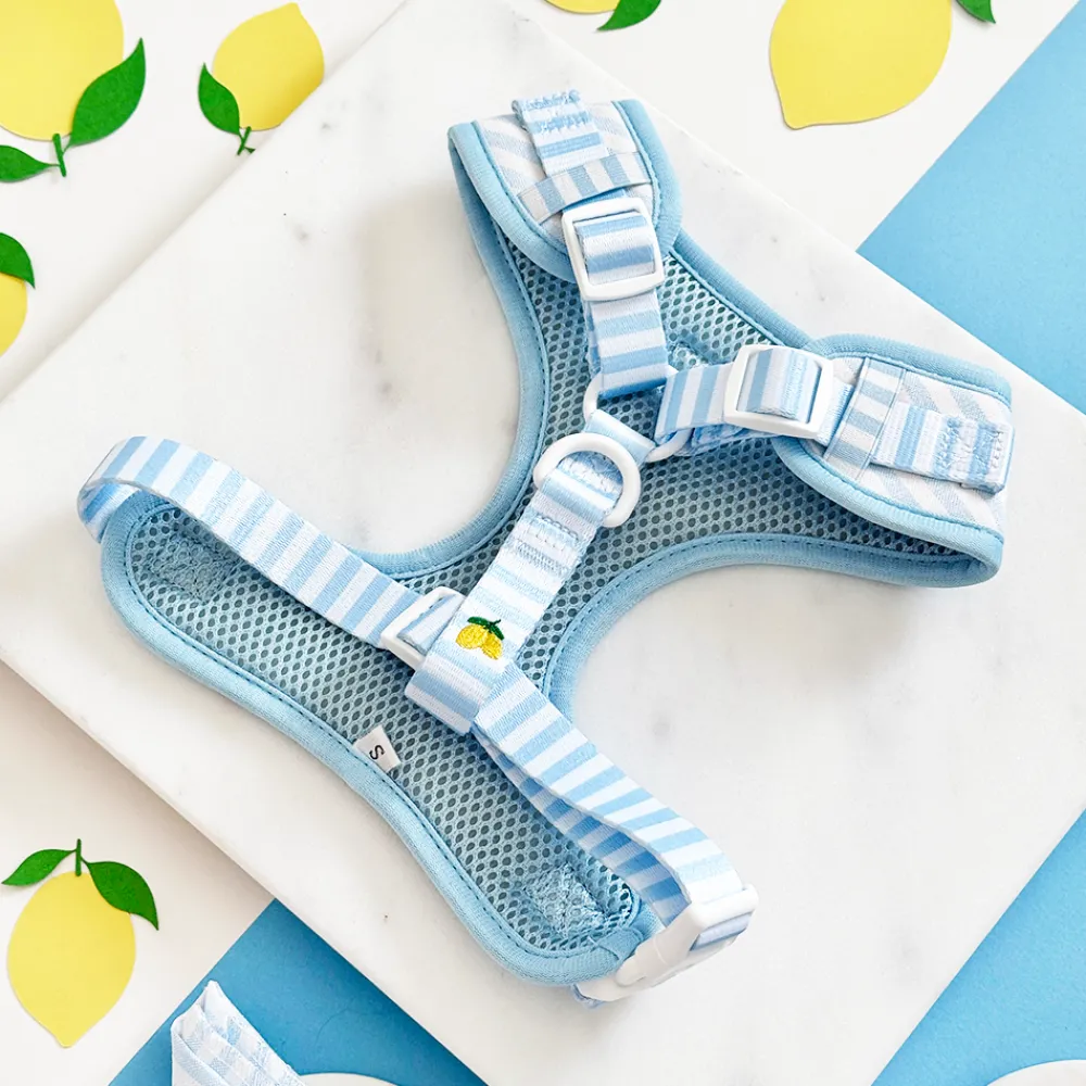 Cocopup Adjustable Neck Harnesses-Living La Vida Lemon Adjustable Neck HARNESS