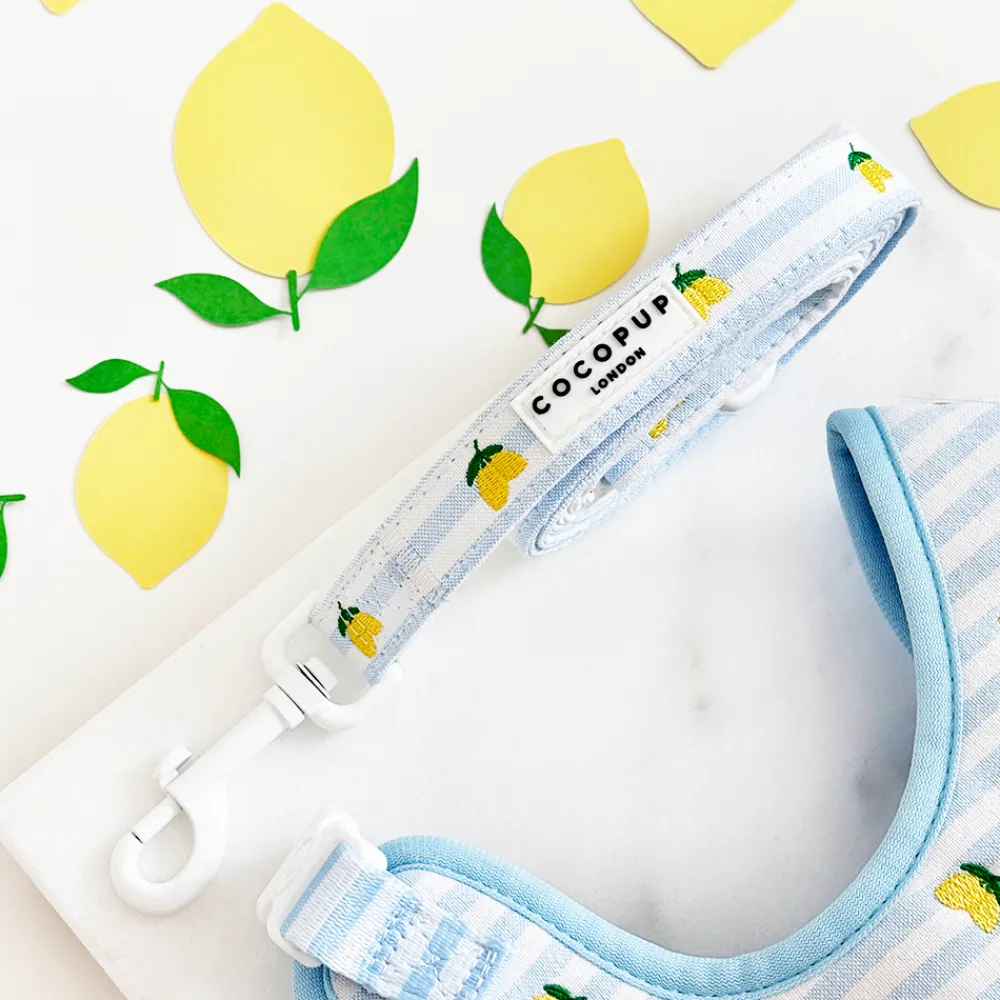 Cocopup Adjustable Harness Bundles-Living La Vida Lemon Adjustable Neck Harness, Lead & Collar Bundle