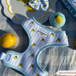 Cocopup Adjustable Neck Harnesses-Living La Vida Lemon Adjustable Neck HARNESS