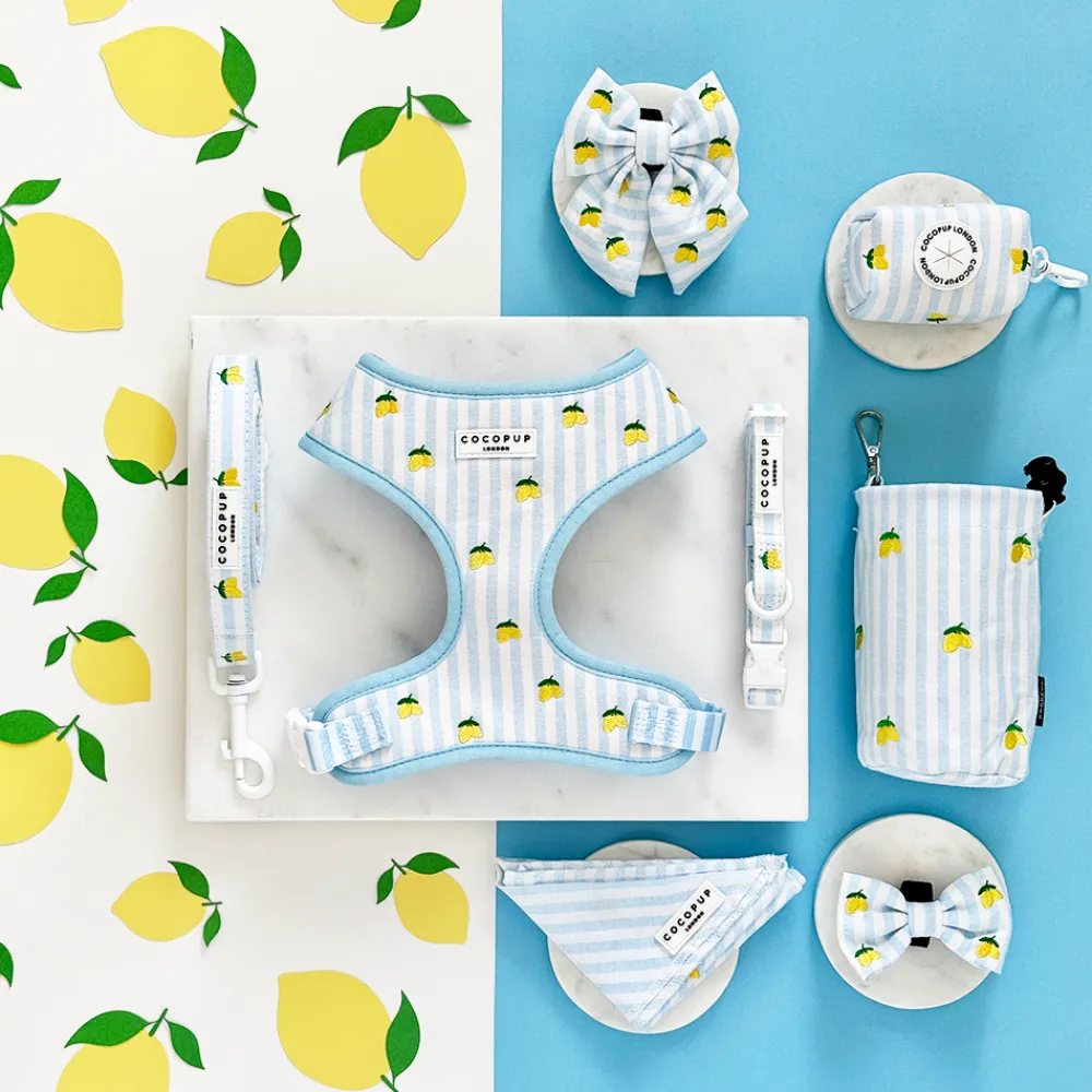 Cocopup Adjustable Harness Bundles-Living La Vida Lemon Adjustable Neck Harness, Lead & Collar Bundle