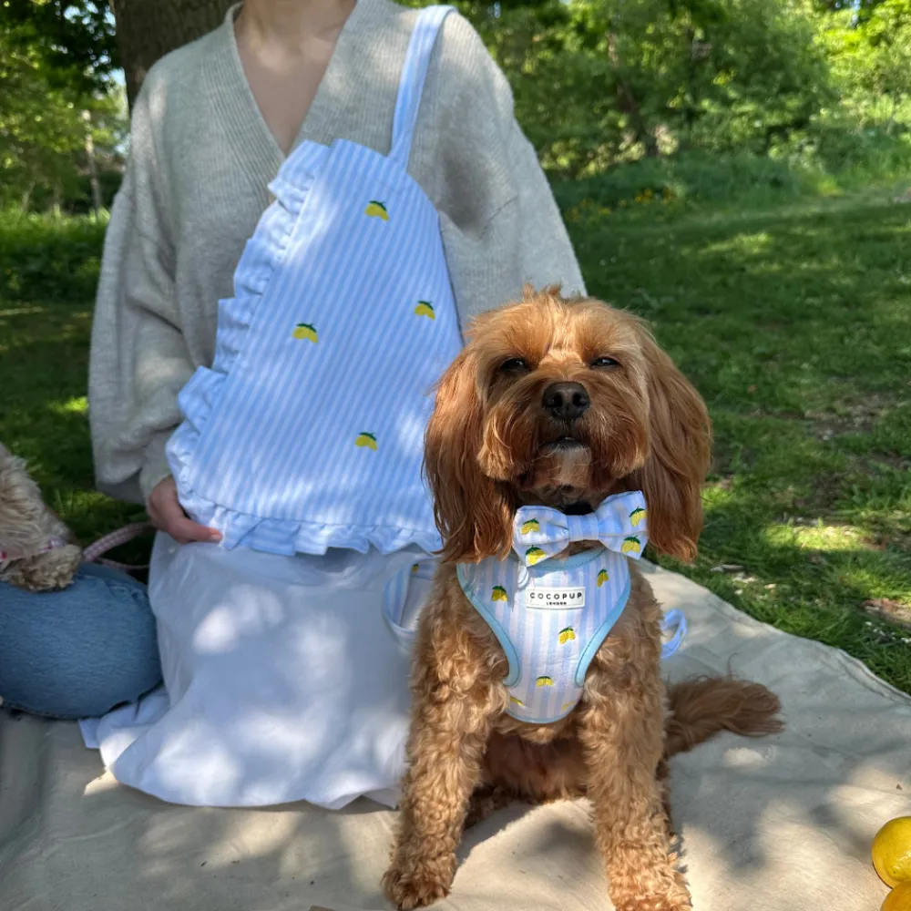 Cocopup Adjustable Neck Harnesses-Living La Vida Lemon Adjustable Neck HARNESS