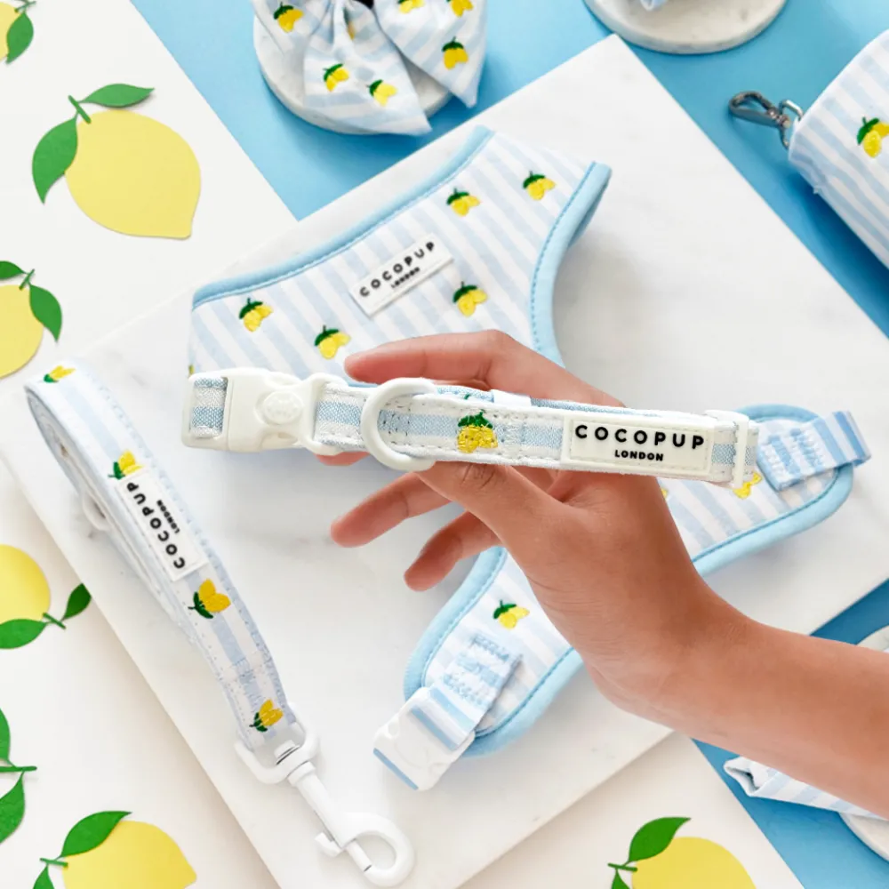 Cocopup Collars | Puppy Leads & Collars-Living La Vida Lemon COLLAR