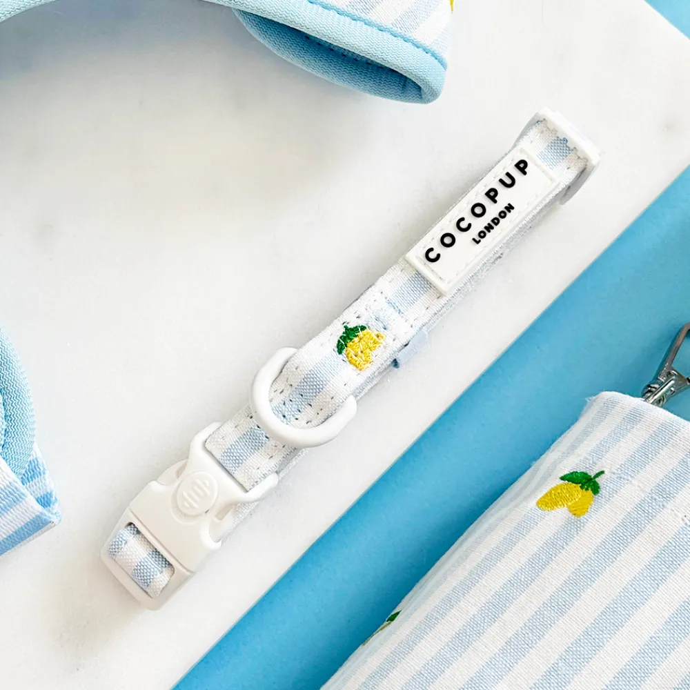 Cocopup Collars | Puppy Leads & Collars-Living La Vida Lemon COLLAR
