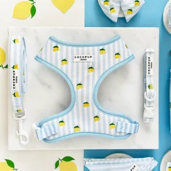Cocopup Collars | Puppy Leads & Collars-Living La Vida Lemon COLLAR