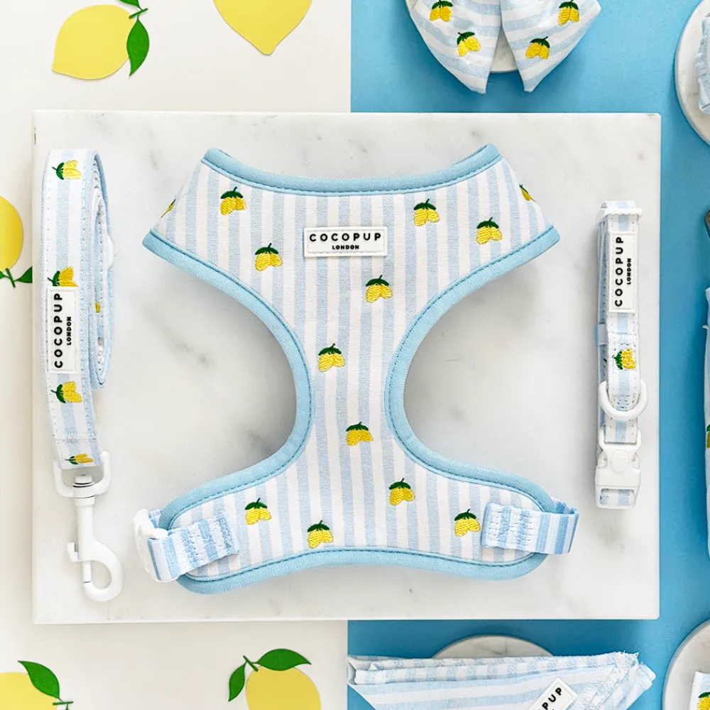 Cocopup Collars | Puppy Leads & Collars-Living La Vida Lemon COLLAR