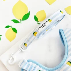 Cocopup Leads-Living La Vida Lemon Lead