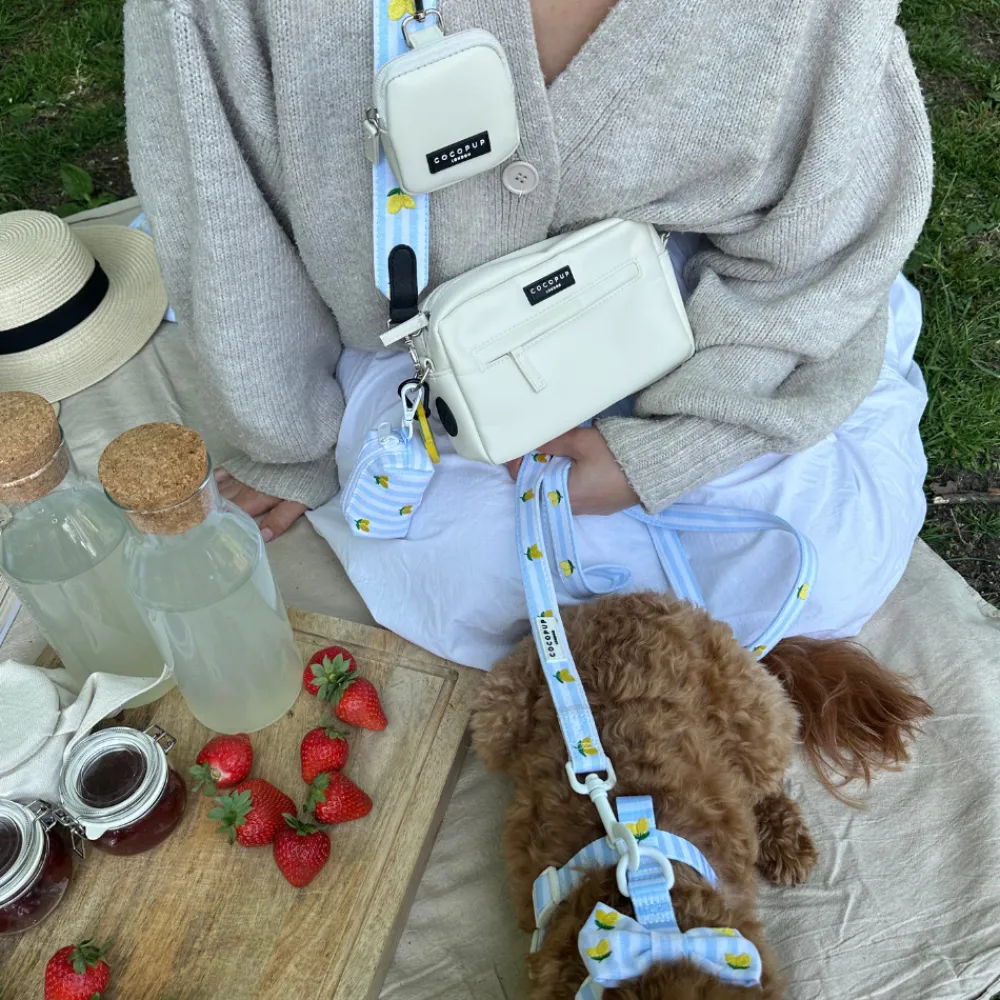 Cocopup Poop Bag Holders | Poop Bag Holders-Living La Vida Lemon Poop Bag Holder