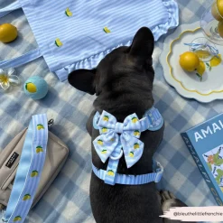 Cocopup Sailor Bow Ties-Living La Vida Lemon Sailor Bow Tie