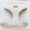 Cocopup Adjustable Neck Harnesses-Luxe Adjustable Neck HARNESS - Garden Meadow
