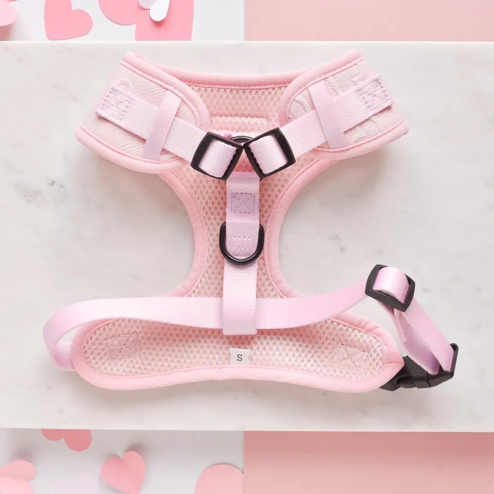 Cocopup Adjustable Neck Harnesses-Luxe Adjustable Neck HARNESS - Baby Pink Heart