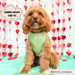 Cocopup Adjustable Neck Harnesses-Luxe Adjustable Neck HARNESS - Sage Heart
