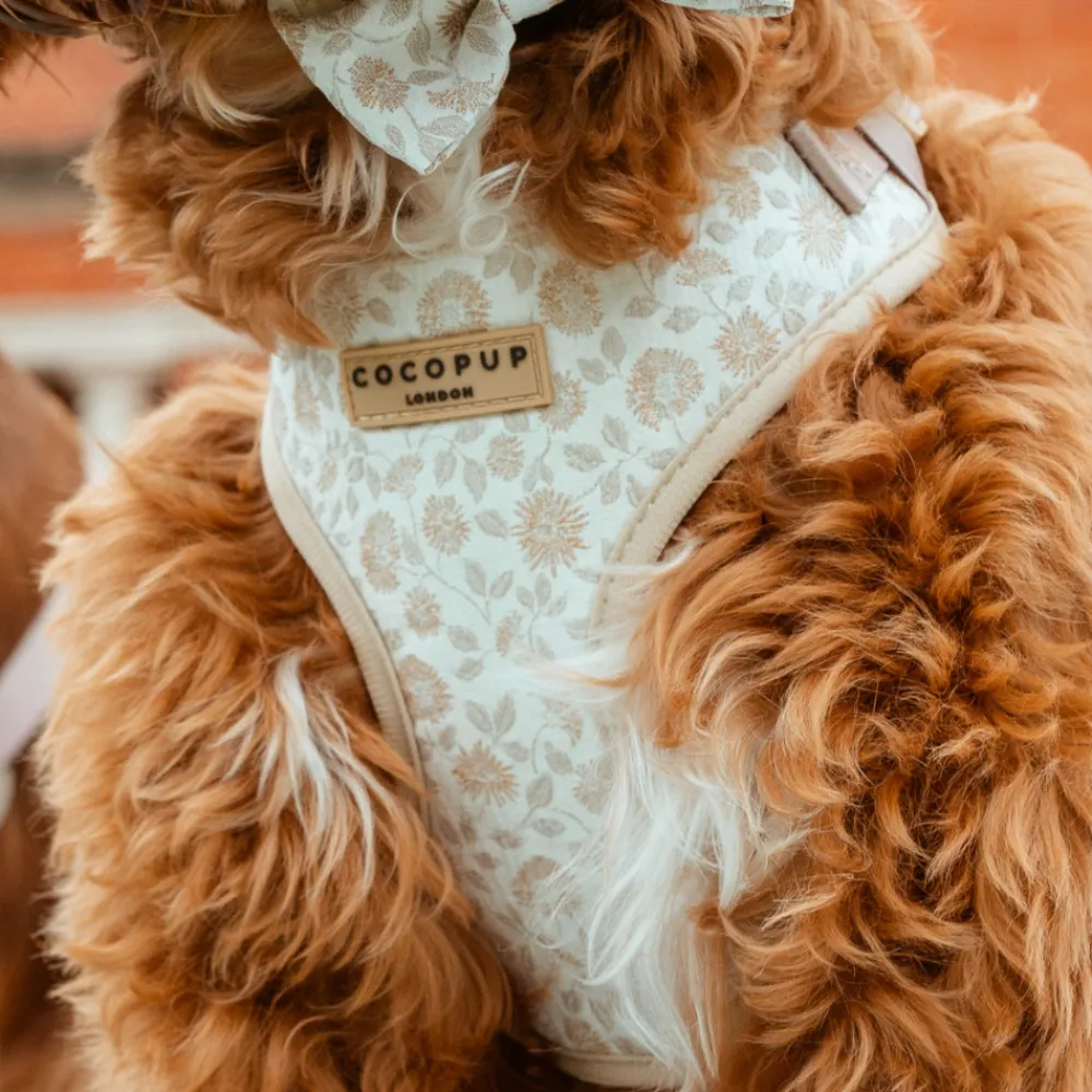 Cocopup Adjustable Neck Harnesses-Luxe Adjustable Neck HARNESS - Garden Meadow