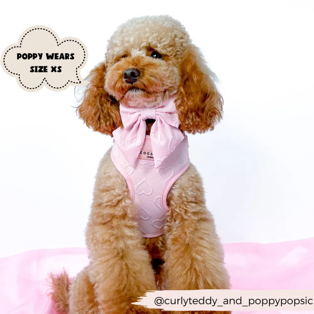Cocopup Adjustable Neck Harnesses-Luxe Adjustable Neck HARNESS - Baby Pink Heart