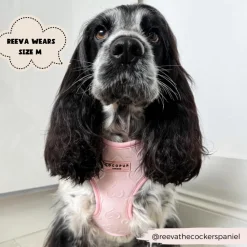 Cocopup Adjustable Neck Harnesses-Luxe Adjustable Neck HARNESS - Baby Pink Heart