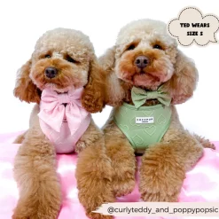 Cocopup Adjustable Neck Harnesses-Luxe Adjustable Neck HARNESS - Baby Pink Heart