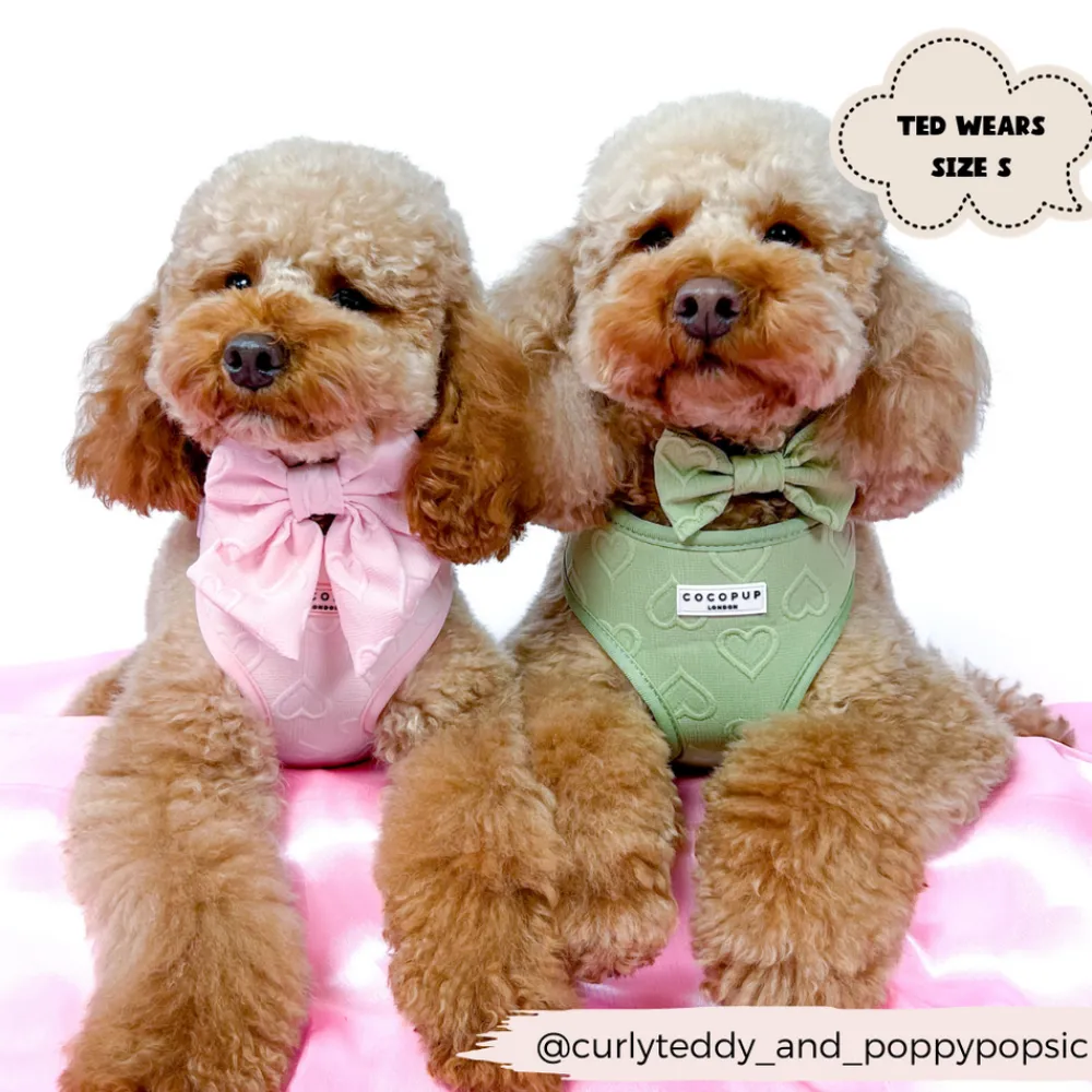 Cocopup Adjustable Neck Harnesses-Luxe Adjustable Neck HARNESS - Baby Pink Heart