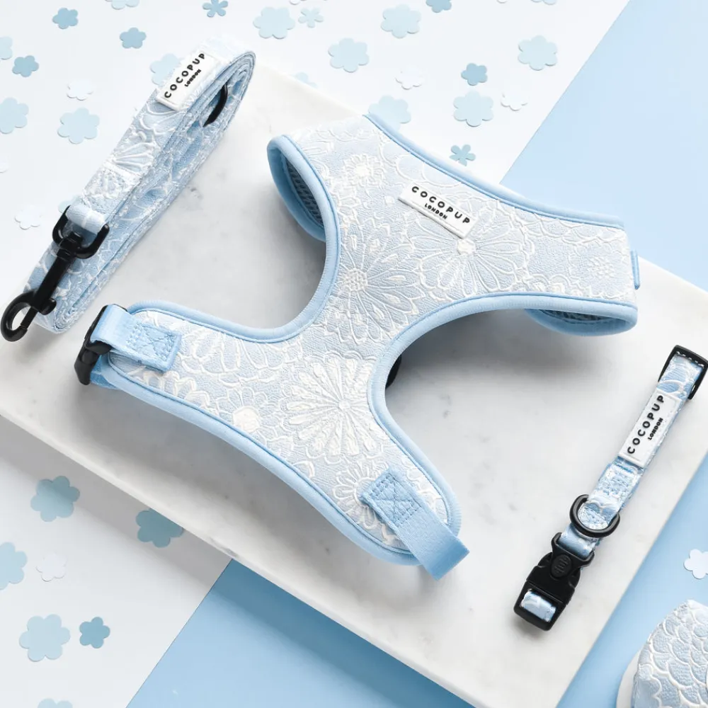 Cocopup Adjustable Harness Bundles-Luxe Baby Blue Flower Adjustable Neck Harness, Lead & Collar Bundle