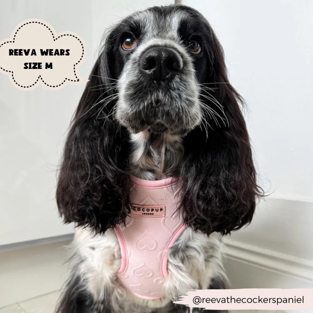 Cocopup Adjustable Harness Bundles-Luxe Baby Pink Heart Adjustable Neck Harness, Lead & Collar Bundle