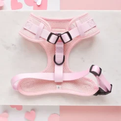 Cocopup Adjustable Harness Bundles-Luxe Baby Pink Heart Adjustable Neck Harness, Lead & Collar Bundle
