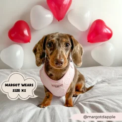 Cocopup Adjustable Harness Bundles-Luxe Baby Pink Heart Adjustable Neck Harness, Lead & Collar Bundle