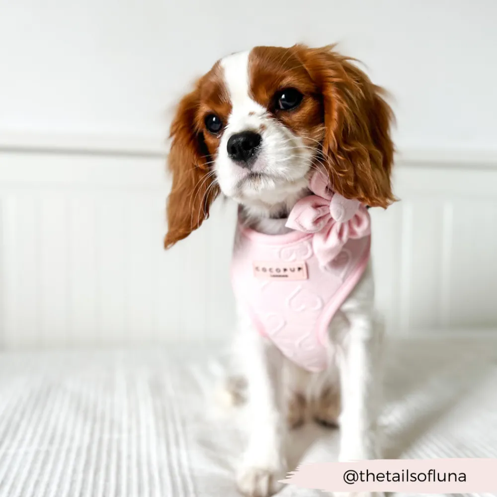 Cocopup Collar Flowers-LUXE Baby Pink Heart Collar Flower