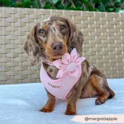 Cocopup Collar Flowers-LUXE Baby Pink Heart Collar Flower