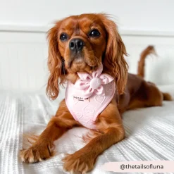 Cocopup Collar Flowers-LUXE Baby Pink Heart Collar Flower