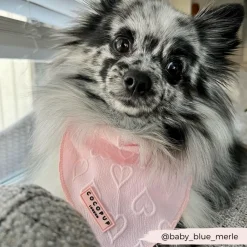 Cocopup Bandanas-Luxe Bandana - Baby Pink Heart