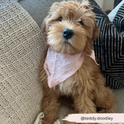 Cocopup Bandanas-Luxe Bandana - Baby Pink Heart