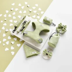 Cocopup Bandanas-Luxe Bandana - Sage Heart