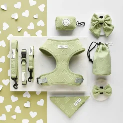 Cocopup Bow Ties-Luxe Bow Tie - Sage Heart