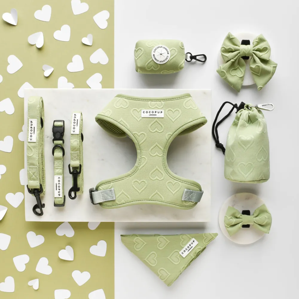 Cocopup Bow Ties-Luxe Bow Tie - Sage Heart