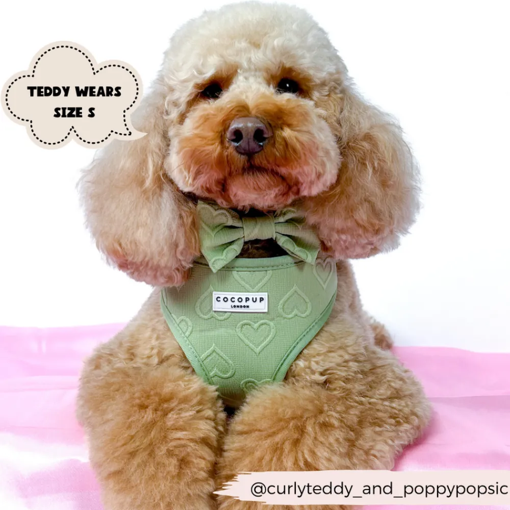 Cocopup Bow Ties-Luxe Bow Tie - Sage Heart