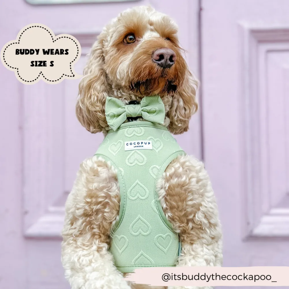 Cocopup Bow Ties-Luxe Bow Tie - Sage Heart