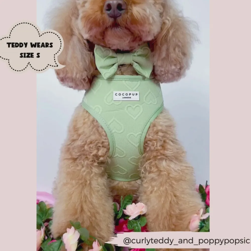 Cocopup Bow Ties-Luxe Bow Tie - Sage Heart