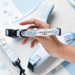 Cocopup Collars | Puppy Leads & Collars-Luxe COLLAR - Baby Blue Flower